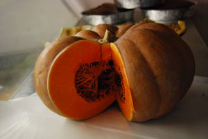 zucca